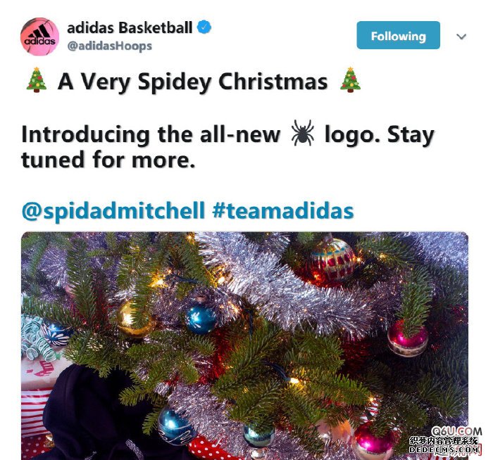 Mitchell's signature shoe exclusive logo exposed. Does Mitchell deserve to have a personal signature shoe