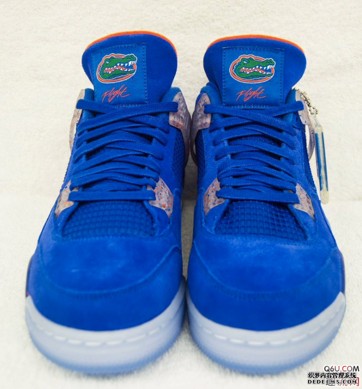Florida Gators Exclusive AJ4 Physical Appreciation What are the good-looking player PE colors of AJ4