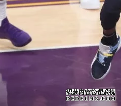 What sneakers are worn by NBA stars on December 24th Inventory of sneakers worn by NBA stars on December 24