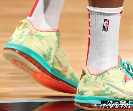 What are the sneakers worn by NBA stars on December 21st? List of sneakers worn by NBA stars on December 21st What sneakers are worn by NBA stars on December 21st List of sneakers worn by NBA stars on December 21st