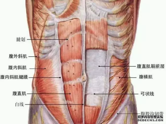 What is the AB line and how can I develop the AB line What is the AB line and how can I develop the AB line