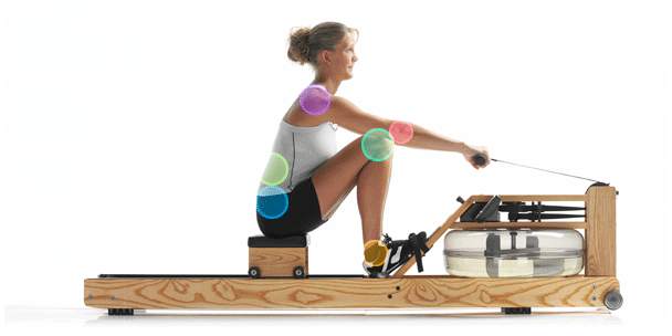 How effective is the rowing machine for weight loss? How to exercise correctly on the rowing machine How effective is the rowing machine for weight loss? How to exercise correctly on the rowing machine