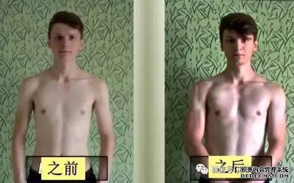 Can 200 push-ups a day build muscle? Is 200 push-ups a day effective? Can 200 push-ups a day build muscle? Is 200 push-ups a day effective