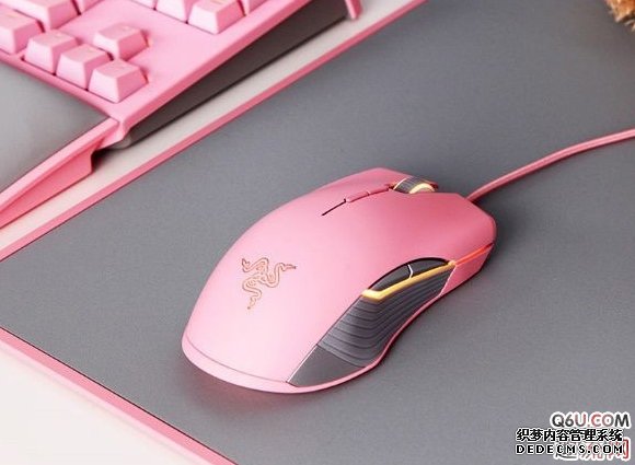 How to choose a New Year gift for girls, an inventory of mouse suitable for girls